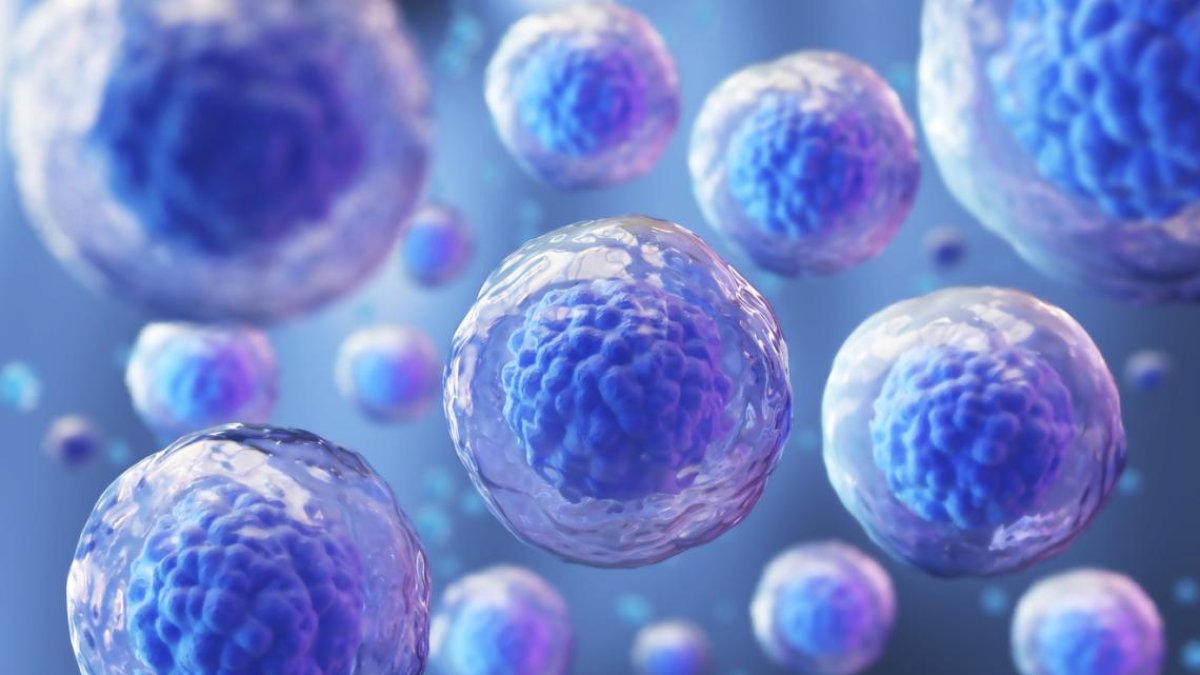 Una nueva tecnología que impulsa in vitro e in vivo el potencial de las células madre para especializarse en células adultas.