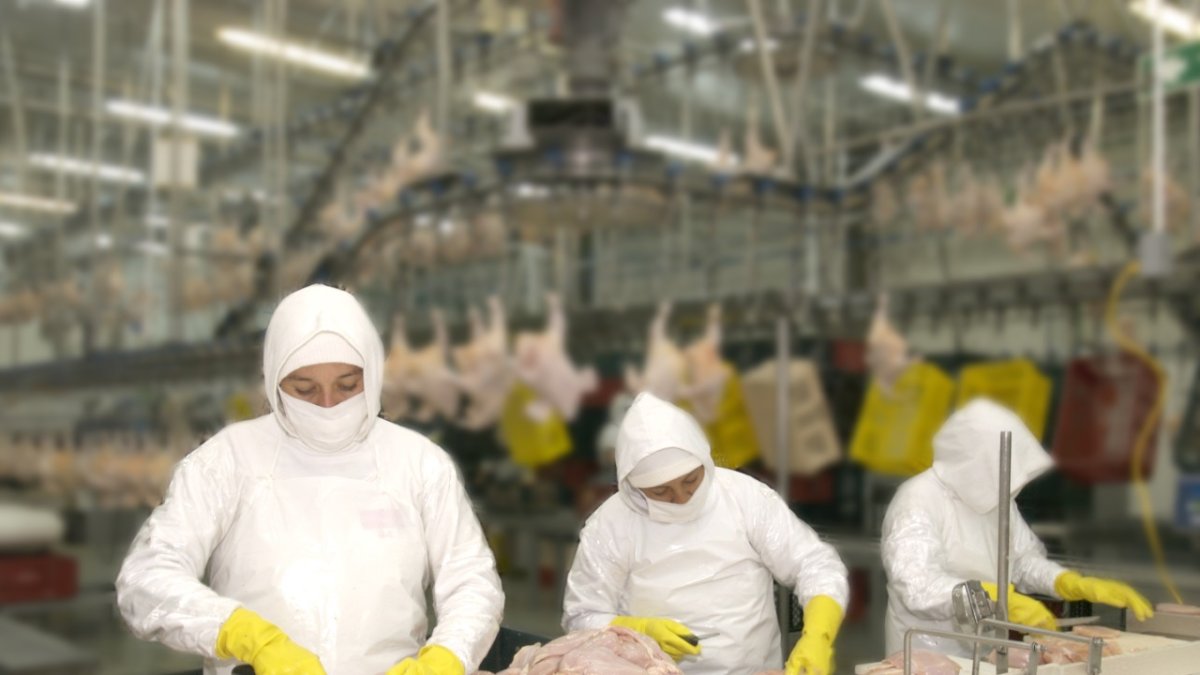 Pronaca pudo colocar todas sus obligaciones.