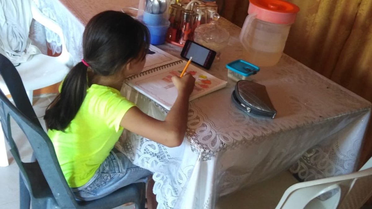 En los sectores rurales de la provincia de Los Ríos, los alumnos se conectan a clases a través del teléfono de sus padres y deben hacer recargas frecuentes.
