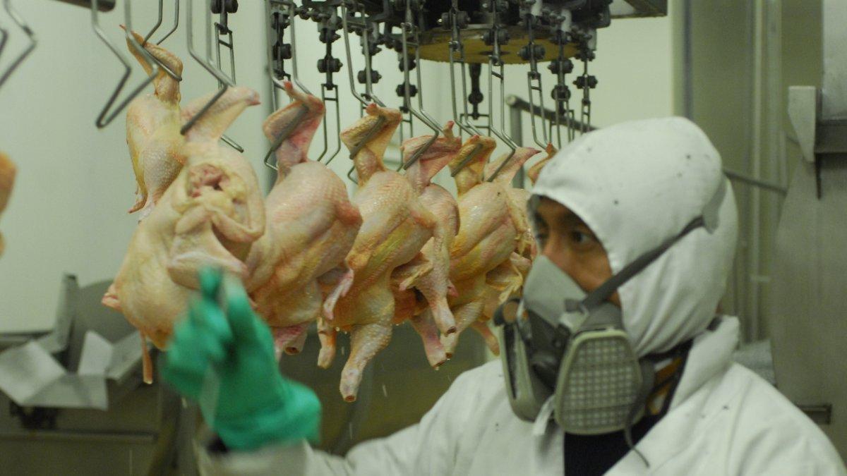 El control de calidad es fundamental para ganar más mercado.