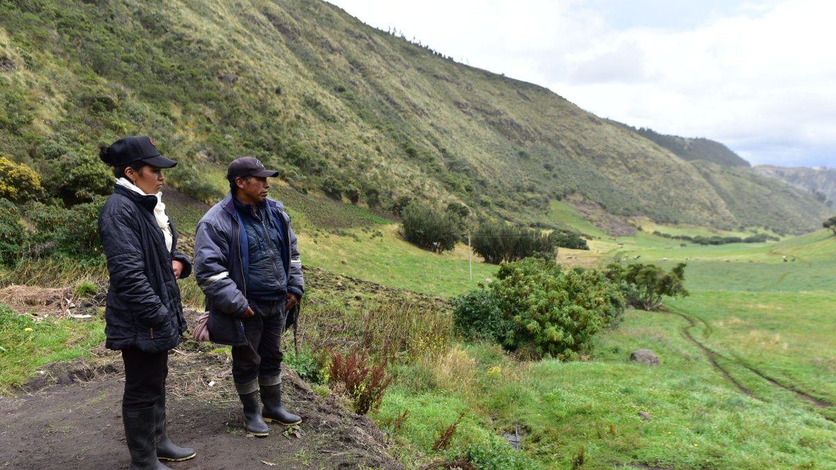 Martha y Carlos Imbaquingo viven en San José de Caleras, una comunidad alejada de Cayambe.