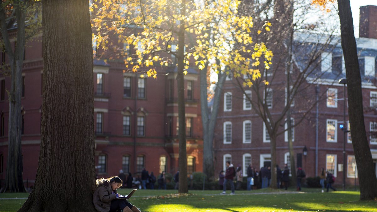 Una estudiante lee bajo un árbol en el campus de la universidad de Harvard en Cambridge, Estados Unidos