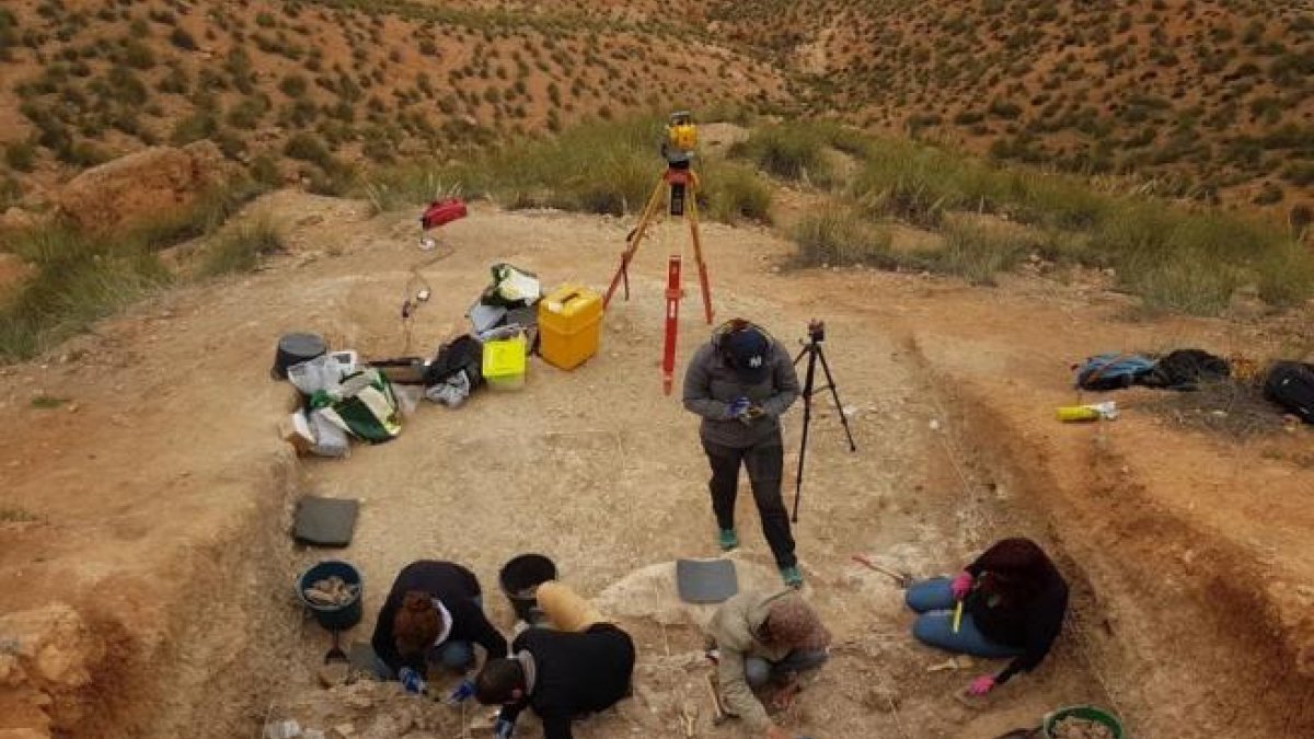 El hallazgo se dio en el yacimiento Guefaït 4, al norteste de Marruecos.