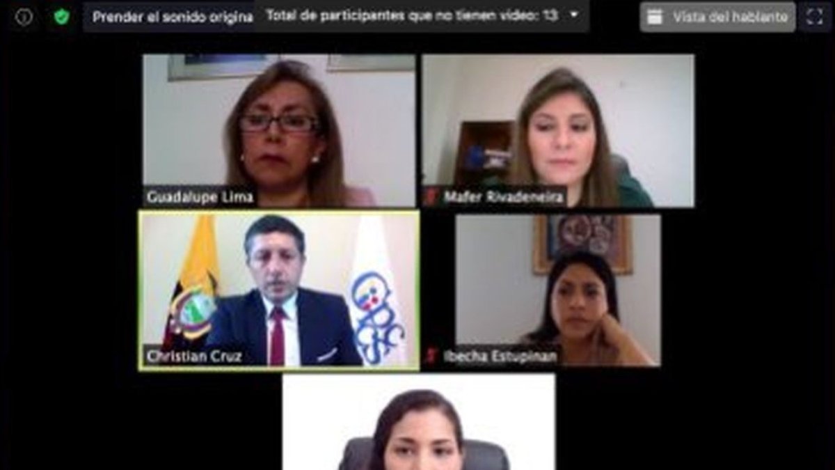 El pleno del Consejo de Participación devolvió la terna al Ejecutivo a mediados de junio.