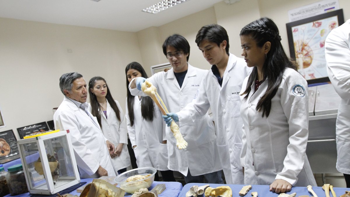 Los estudiantes de las carreras de la salud deberán plasmar en un examen lo que han aprendido en sus años de formación profesional.