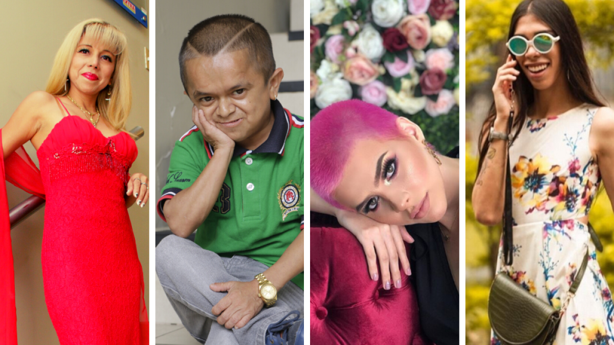 Estrellita solitaria, Jorgito guayaco, Arianna Mejía y La Brandon.