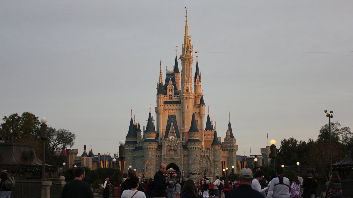 Magic Kingdom y Animal Kingdom reabren al público general este sábado.