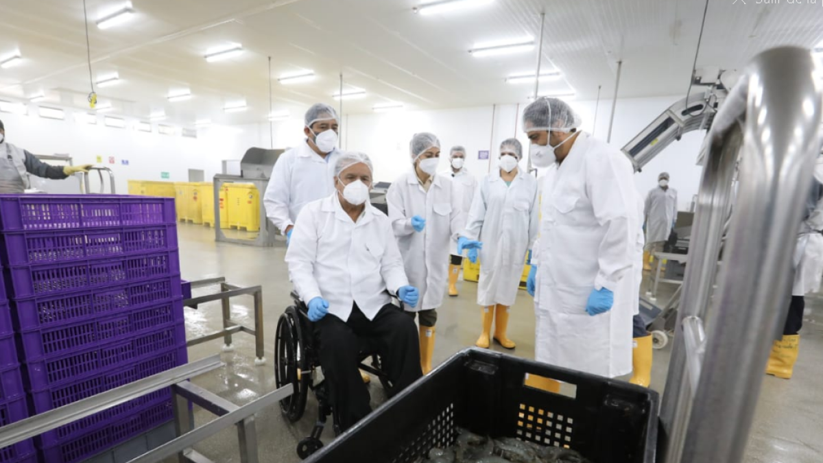 El presidente Moreno visita una de las empacadoras de Santa Priscila, la mayor exportadora del país.