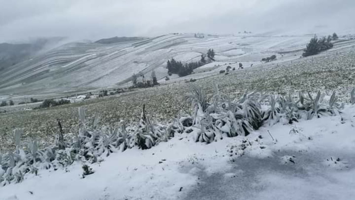 Las bajas temperaturas registradas en la madrugada de este 13 de julio en Tungurahua dejaron paisajes blancos en las zonas altas de la provincia.
