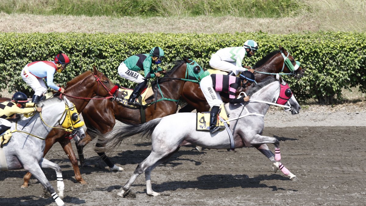 Albina (caballo blanco) se quedó con el Clásico de la jornada en el hipódromo Miguel Salem Dibo.