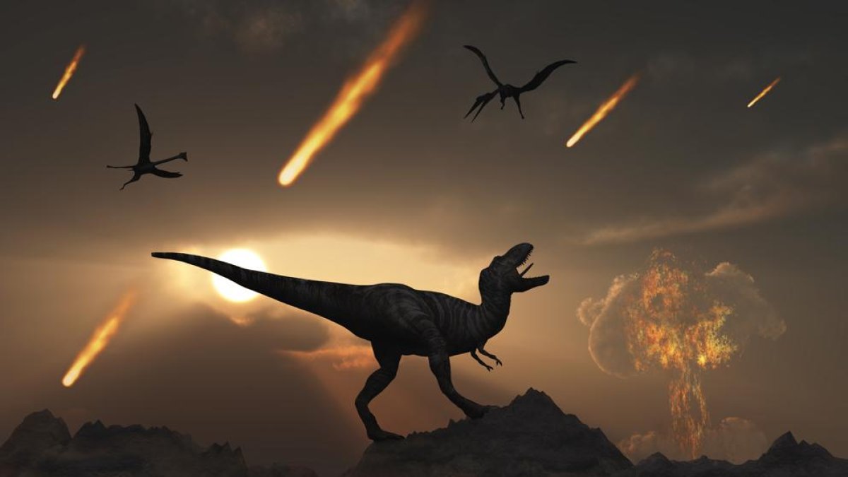 La vida tardó 700.000 años en recuperarse luego del impacto del asteroide que acabó con los dinosaurios.