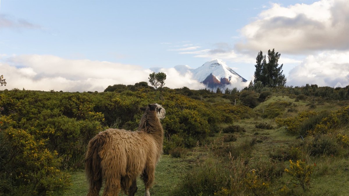 Foto de Yinna Higuera, presidenta de la Asociación de Fotógrafos del Ecuador. Formará parte de la exposición.