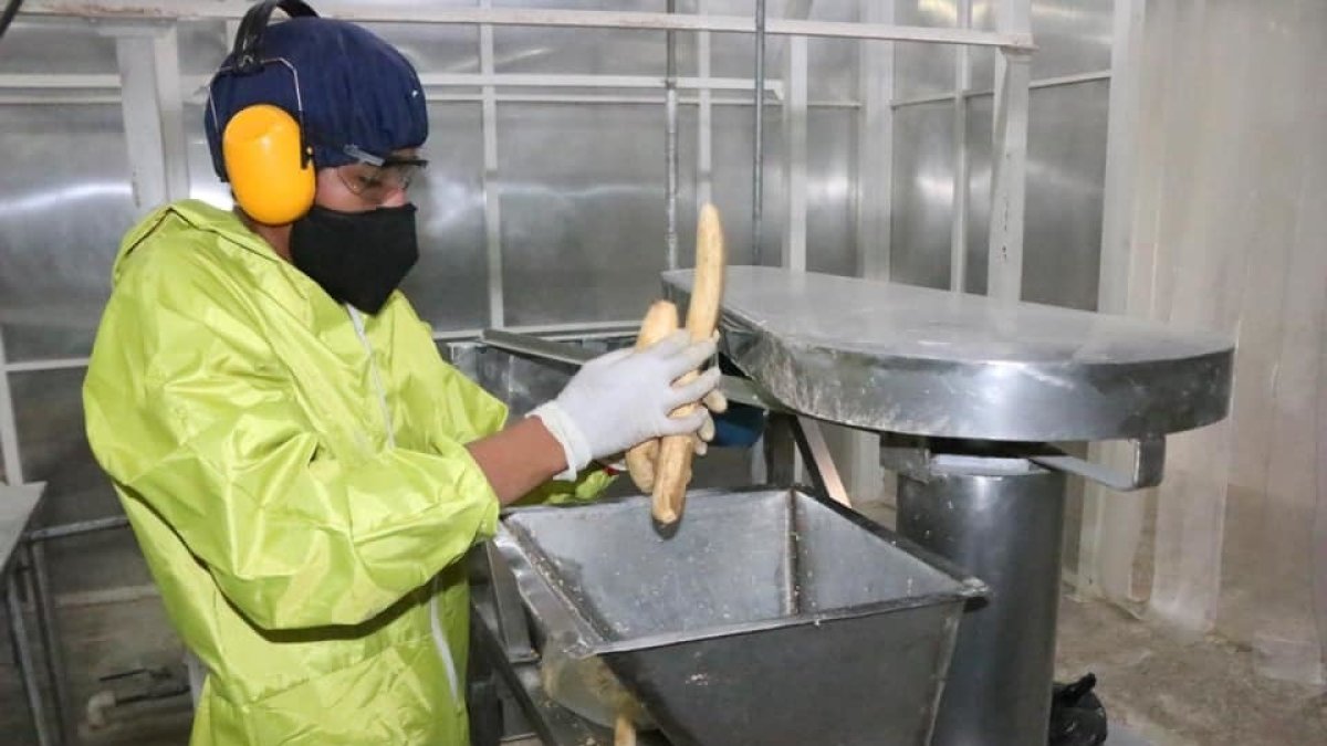 En Ecuador, la Actividad Emprededora Temprana (TEA) cerró en el 36.2% en el 2019