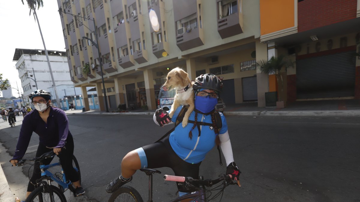 Evento. Se tiene previsto que participen unas 500 personas en la jornada.