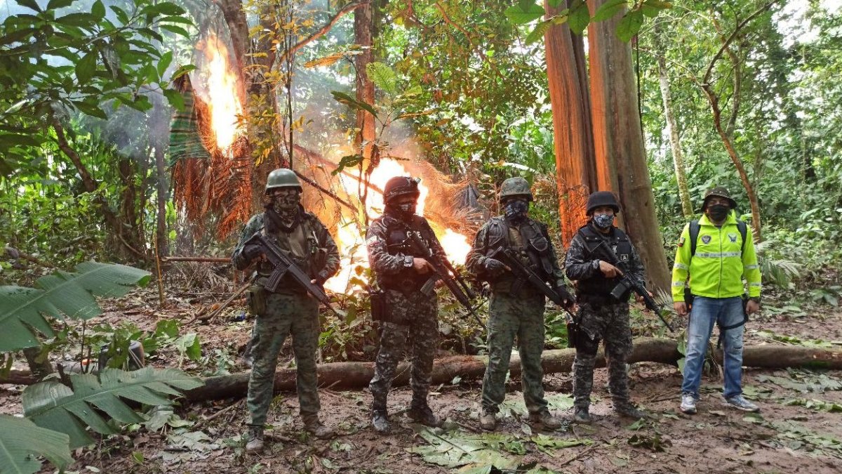 Miembros de Fuerzas Armadas localizaron y destruyeron un laboratorio de procesamiento de drogas en Sucumbíos.