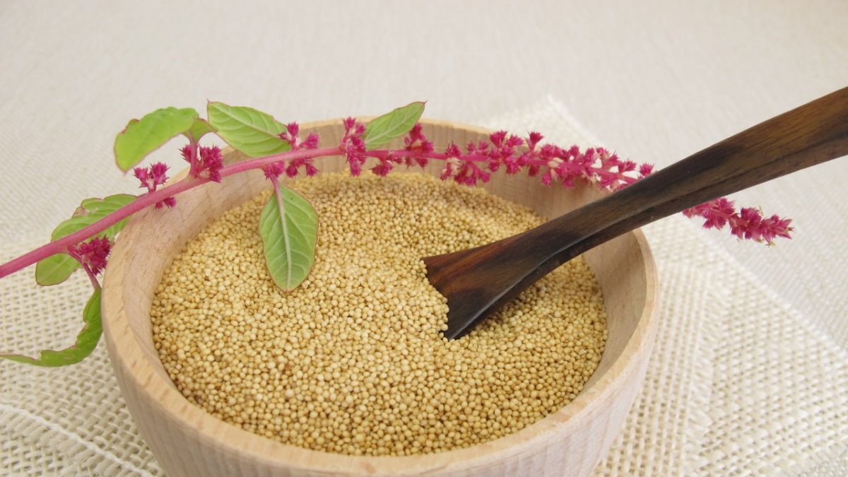 Esta pequeña semilla, tiene un alto valor nutricional