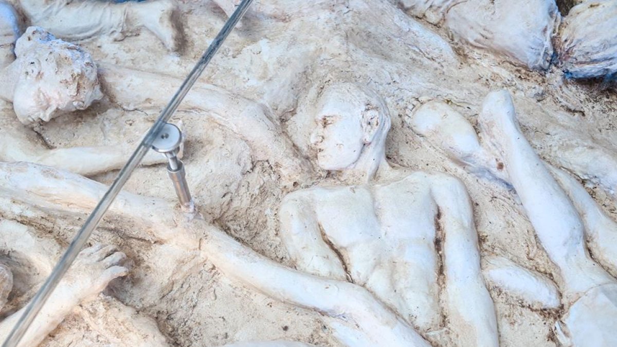 Un aspecto de la nueva obra de Fabricio Valverde, Raíces de Luz Eterna.