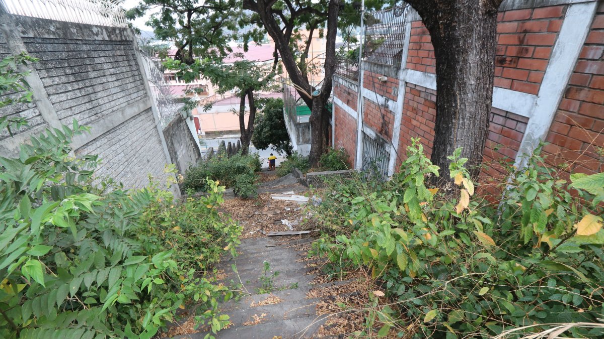 Situación. Las escalinatas de la calle Guayacanes lucen con maleza y presentan desaseo.