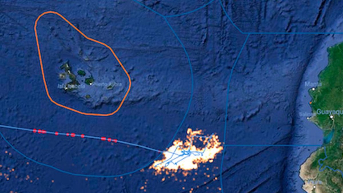 Flota. Los barcos chinos en el borde del mar territorial ecuatoriano.
