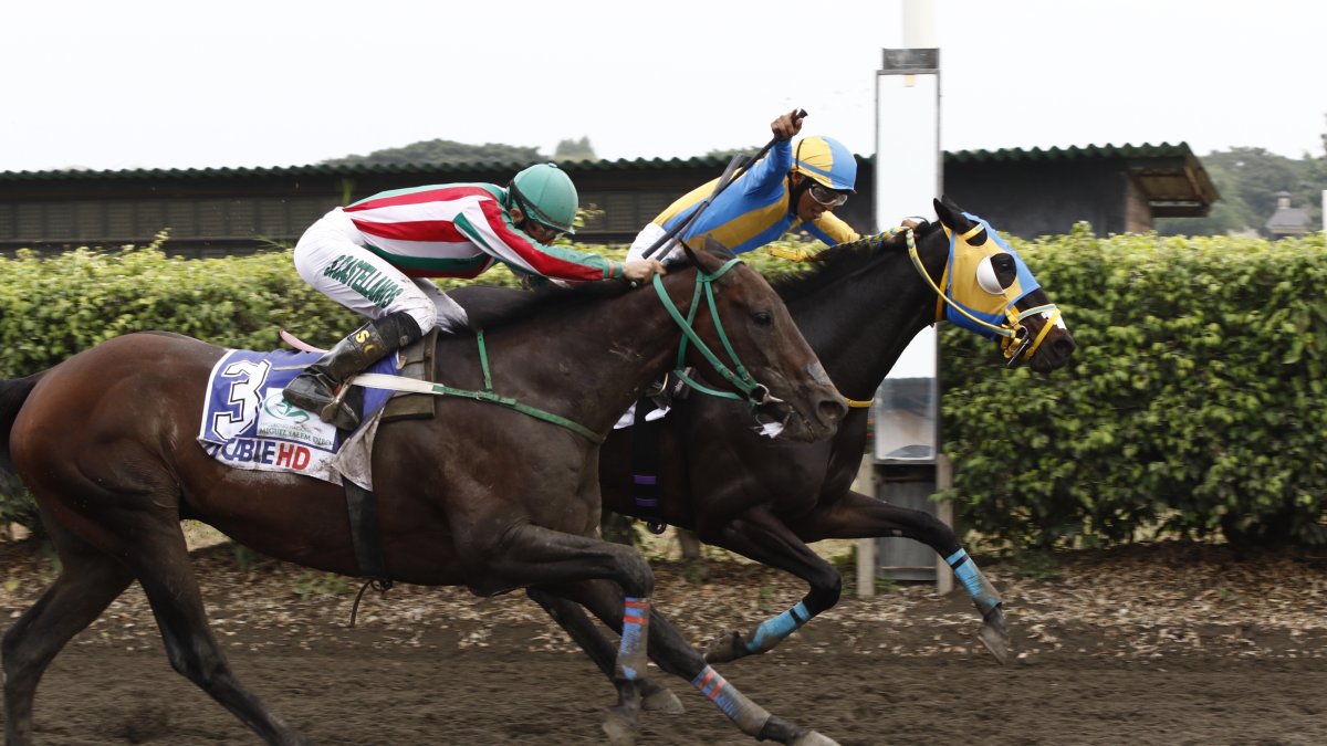 Kingdom Road (d) llegó primero, pero fue distanciado por un cruce a Look Strike (i)en la recta final.