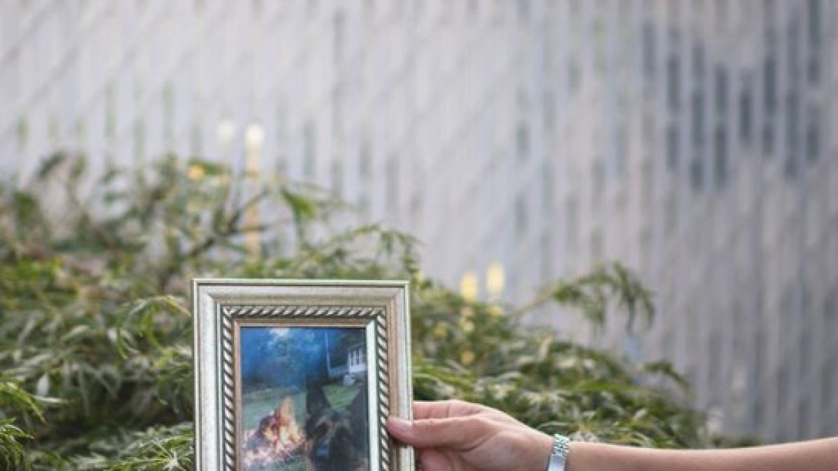 WASHINGTON. La revista National Geographic, informó que Buddy murió después de mostrar síntomas aparentemente similares a los de muchos humanos que padecen la enfermedad.