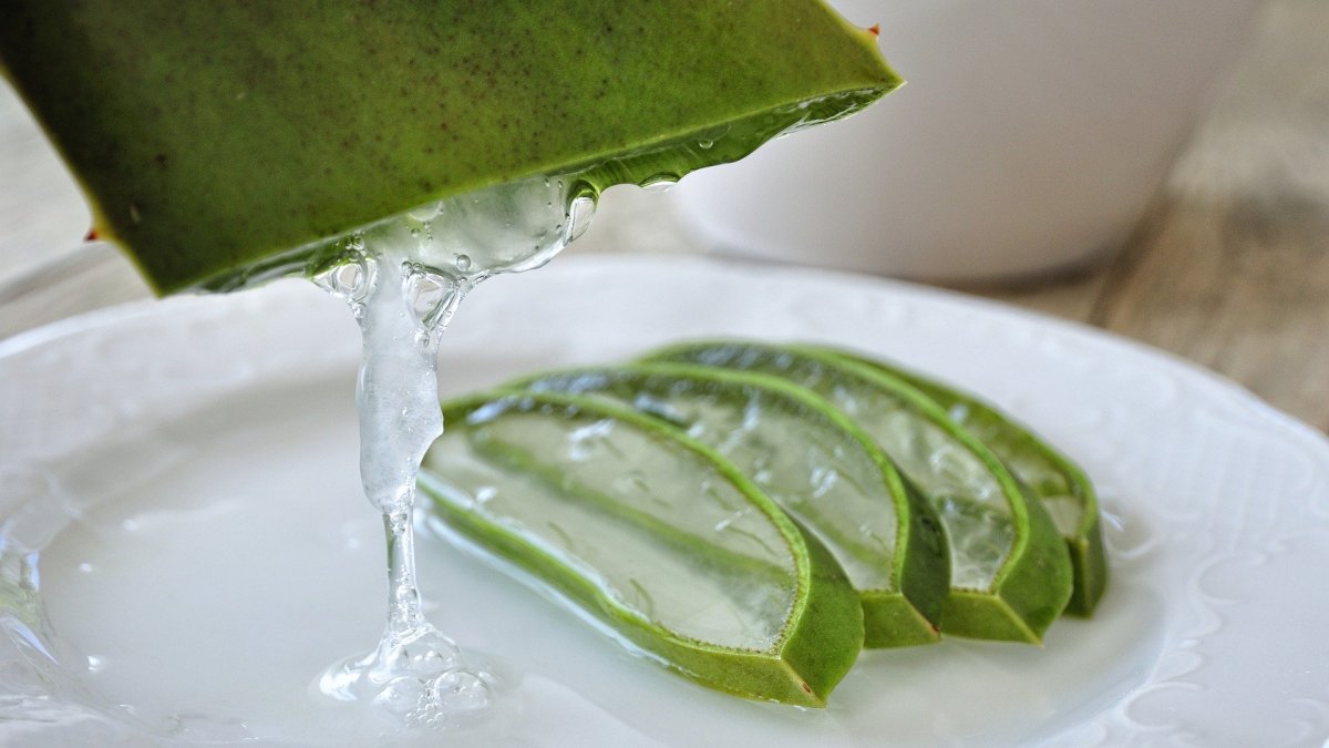 El aloe vera ofrece mucho beneficios para la piel