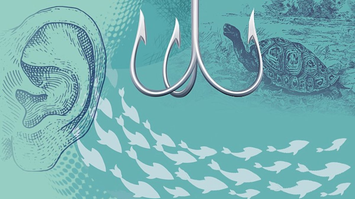 El mundo tiene que oírnos. Y no solo porque gritamos #SOSGalapagos, sino porque esas Islas Encantadas, son desde 1978 Patrimonio de la Humanidad.