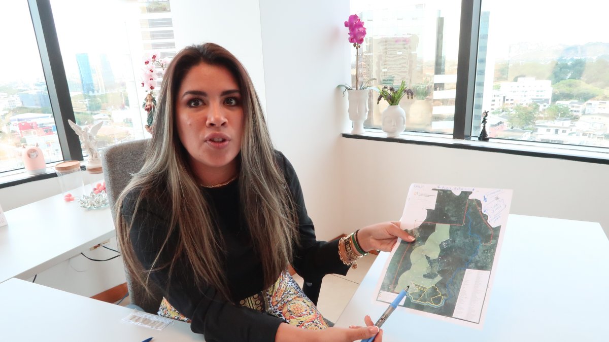 Eveline Montalvan, Secretaría Técnica de Asentamientos Irregulares.