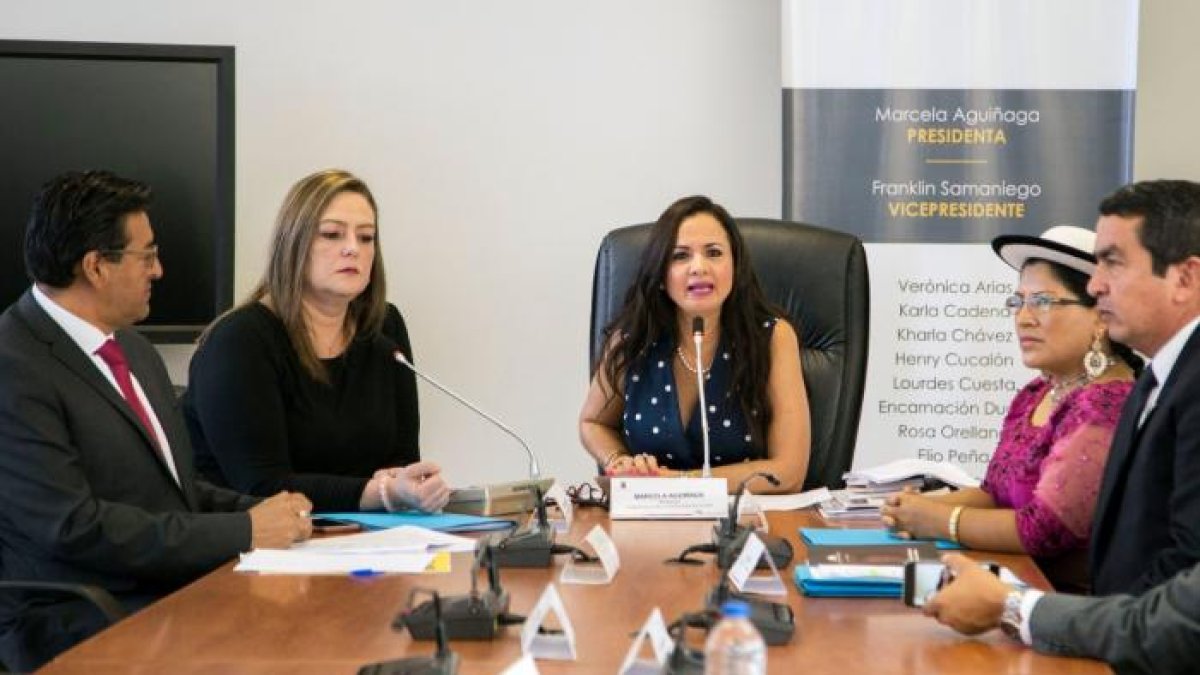 Trabajo. La anterior comisión tramitó el Código Orgánico Integral Penal.