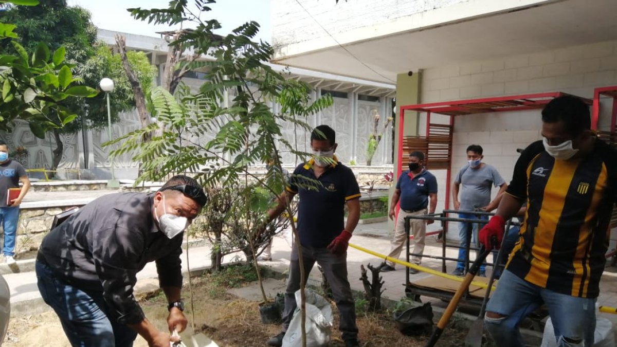 La acción se da luego de la tala indiscriminada de árboles en la universidad.