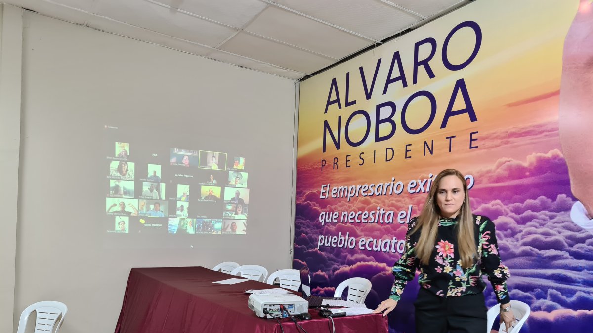 Sylka Sánchez, dirigente del partido, luego de dirigirse a los delegados de la organización en las provincias vía telemática.