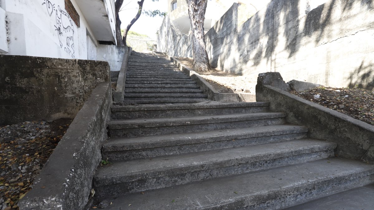 Escenario. La escalinata de la calle Guayacanes acumulaba maleza y desperdicios.