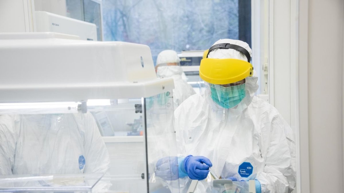 En el Instituto de Medicina Evolutiva de la Universidad de Zurich se examinaron los esqueletos en busca de genomas antiguos