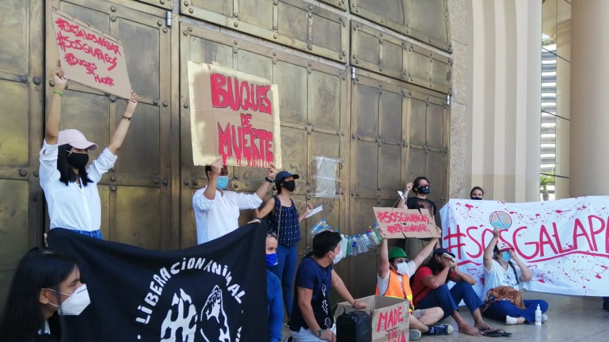 Hecho. La protesta se desarrolló este viernes 14 en los exteriores del Gobierno Zonal.