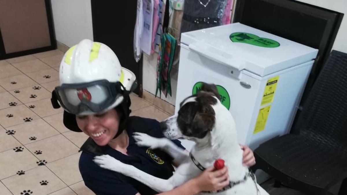 Personal. La unidad estará conformada por personal de bomberos voluntarios y rentados de la División de Rescate.