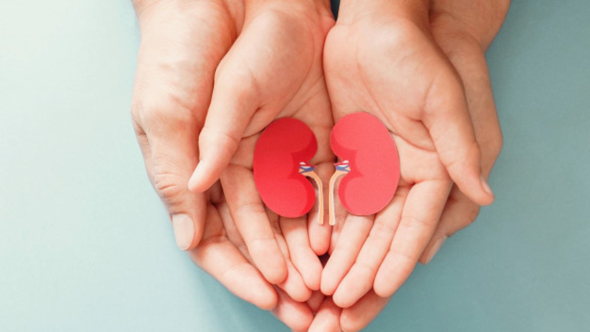 El cuidado de los riñones debe empezar desde la infancia.