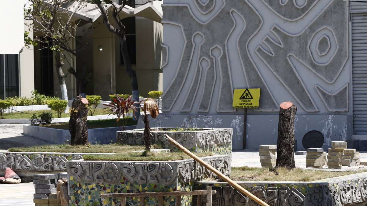 Solo tronco quedaron de tres árboles talados en los alrededores de la Facultad de Arquitectura.
