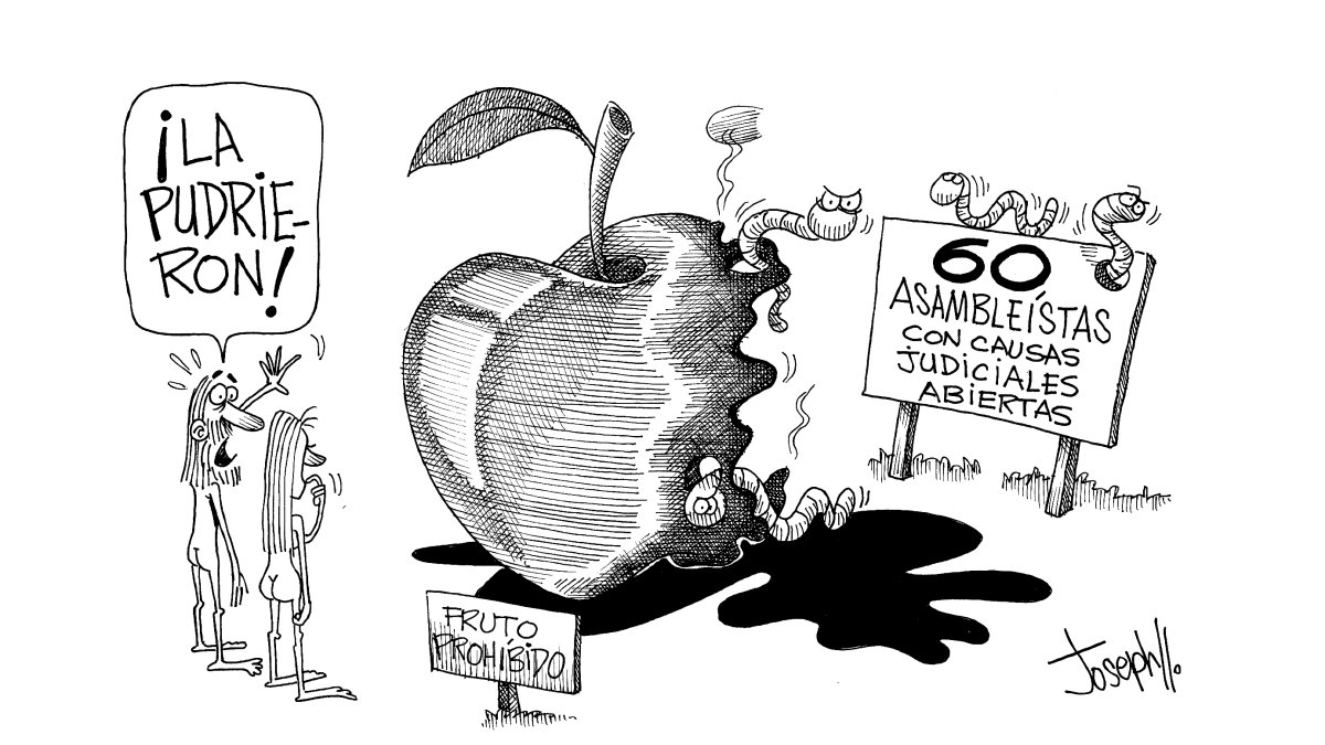 Necesita fumigación urgente.