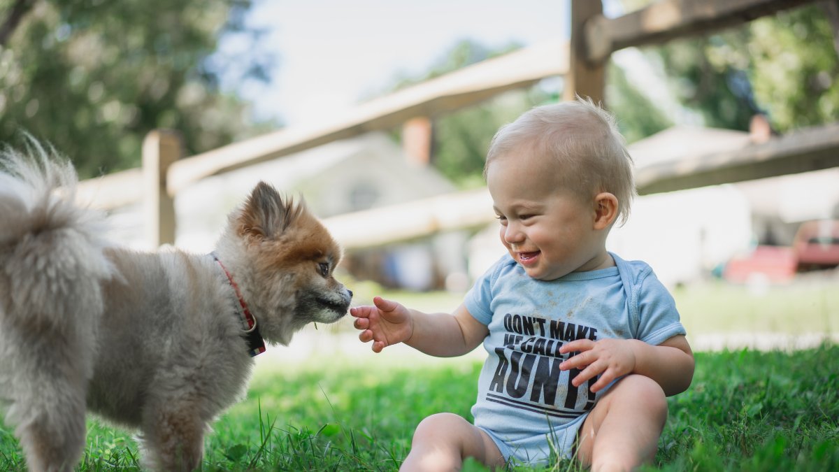 Los bebés pueden reconocer objetos y categorizarlos basándose en la forma en que sus padres los nombran.