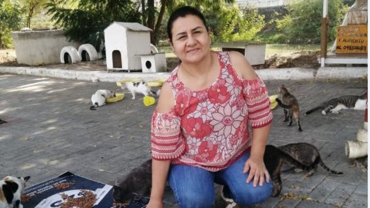 Mercedes Chévez llega todos los días, a las 7 de la noche, para darles de comer.