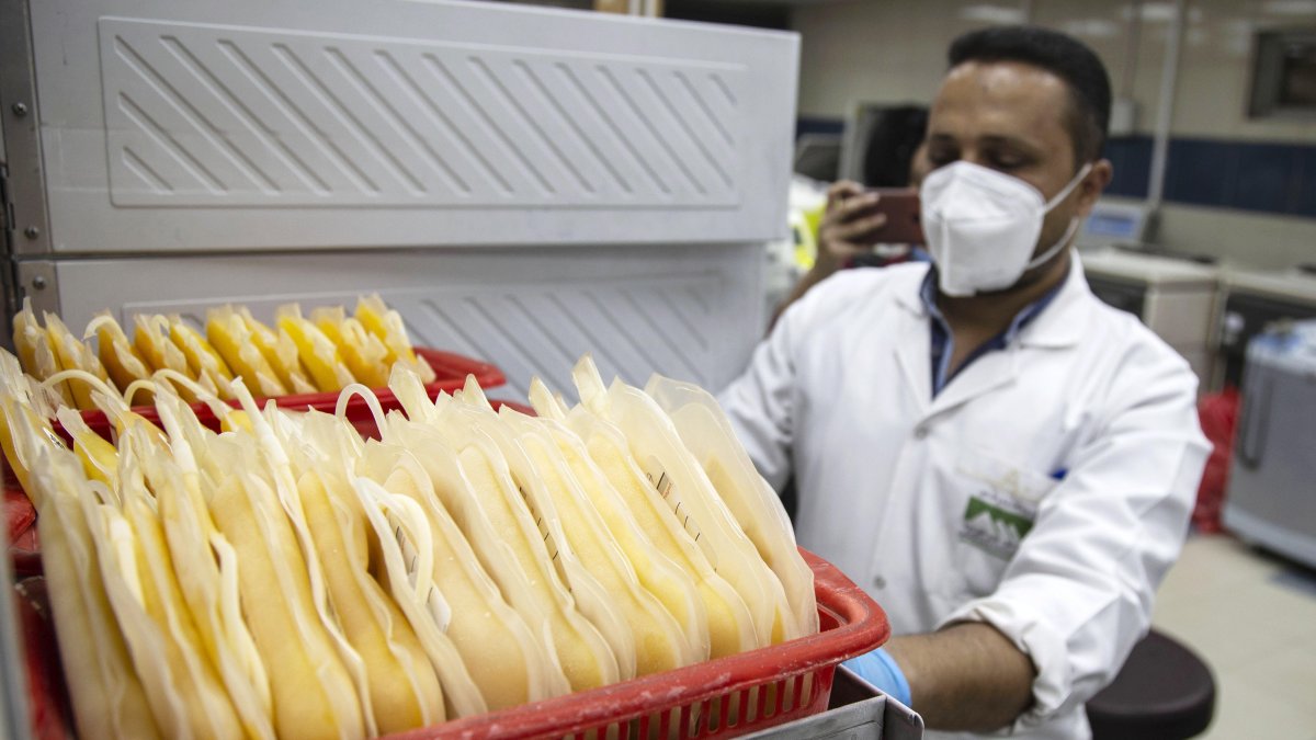 EL CAIRO. Un médico saca las bolsas de plasma donadas por pacientes que se recuperaron de la enfermedad COVID-19.