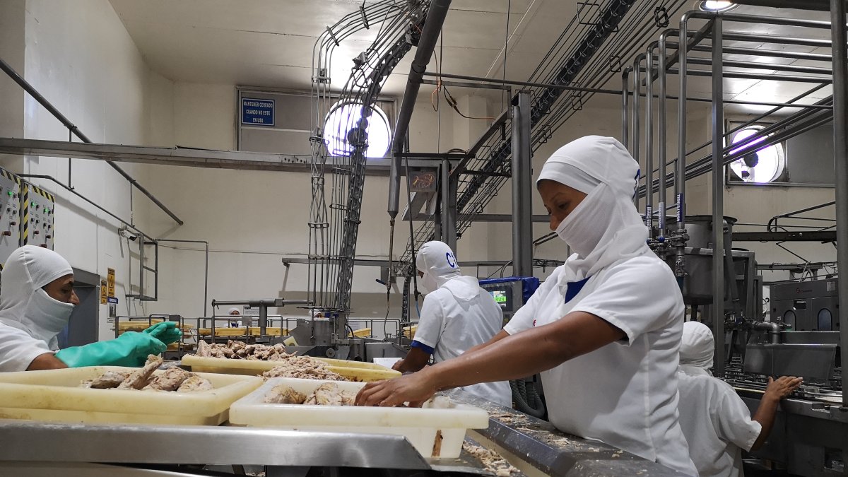 El oneroso pago de aranceles en Estados Unidos afecta la competitividad del pescado procesado.