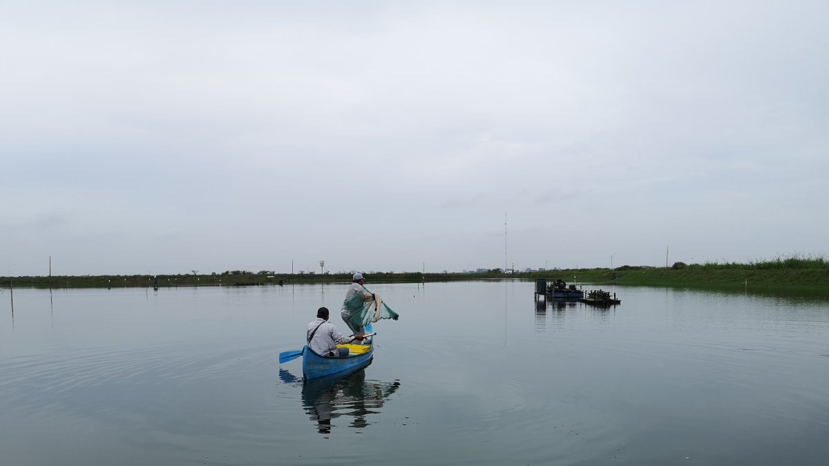 Ecuador ha bajado la producción durante este año.