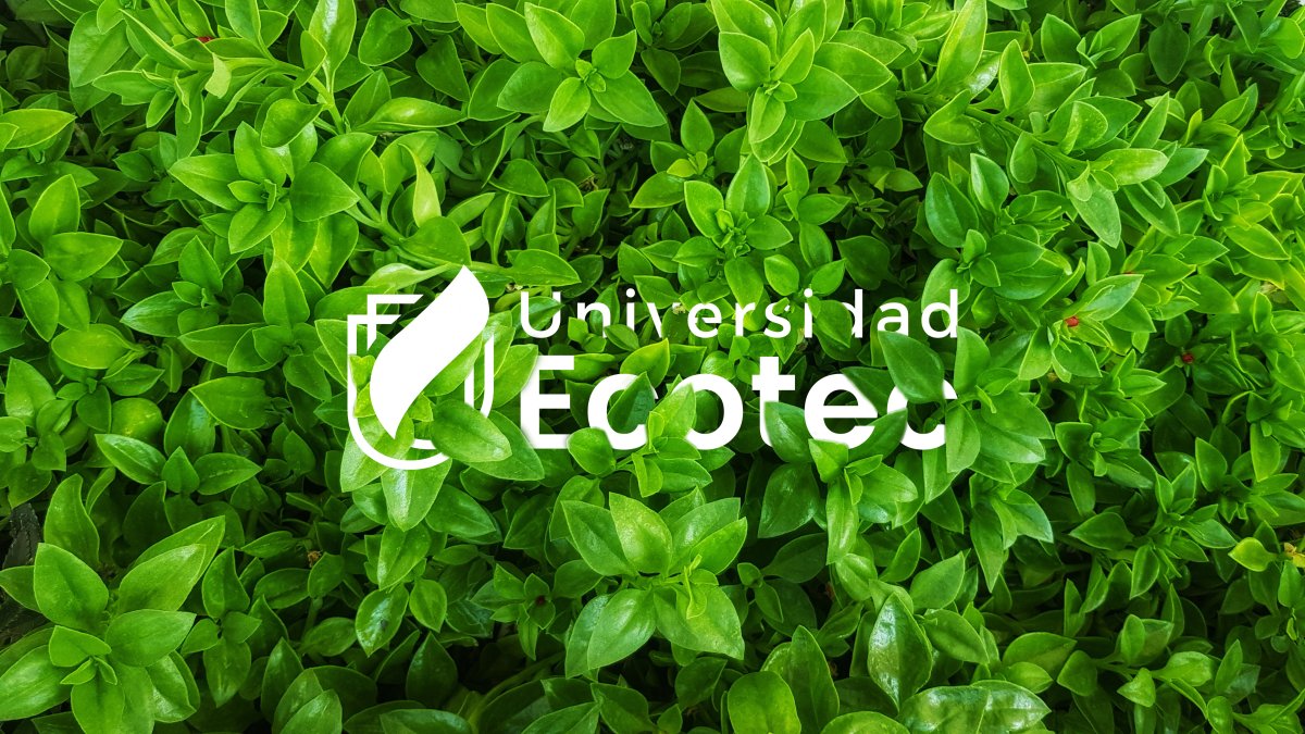 [MISSING]binding.image.description