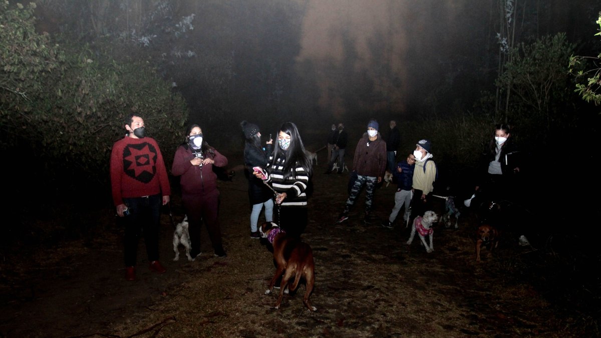 Los recorridos se llevan a cabo los miércoles de 19:00 a 20:45 en el Parque Metropolitano.