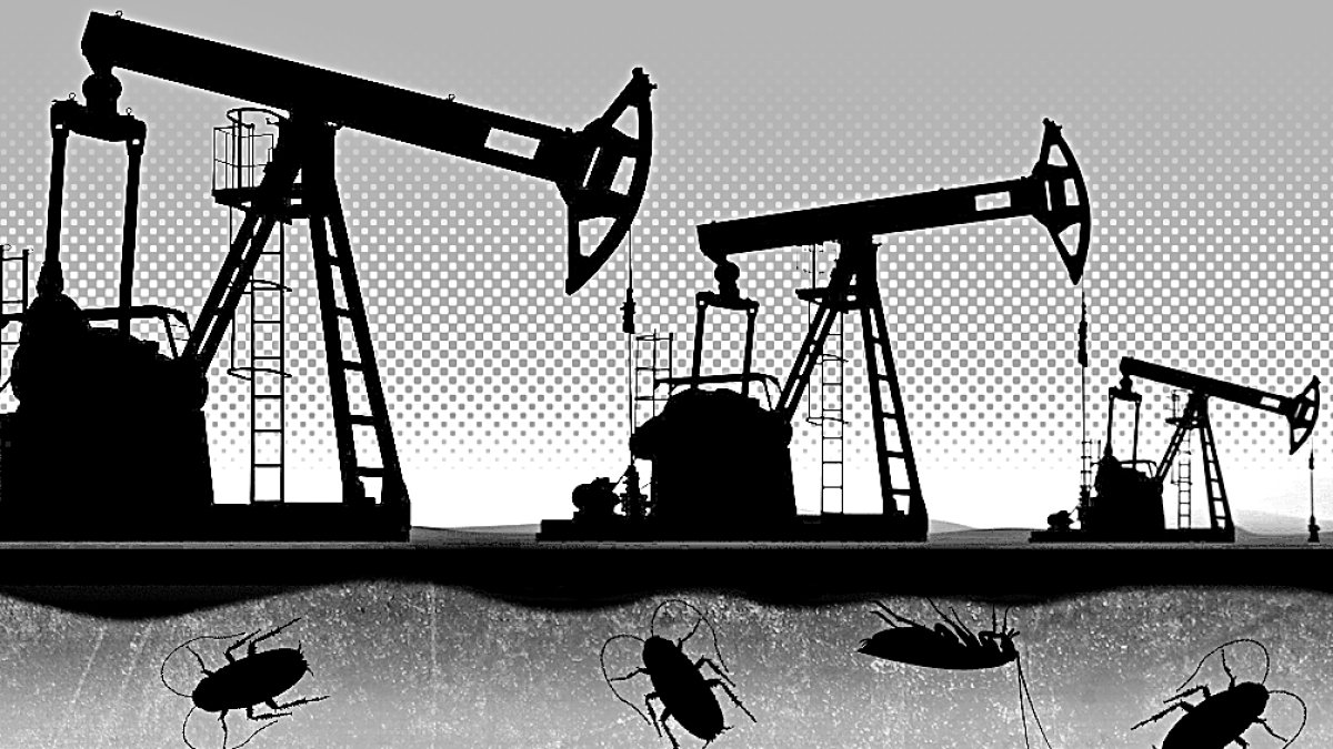 El ocaso del petróleo.