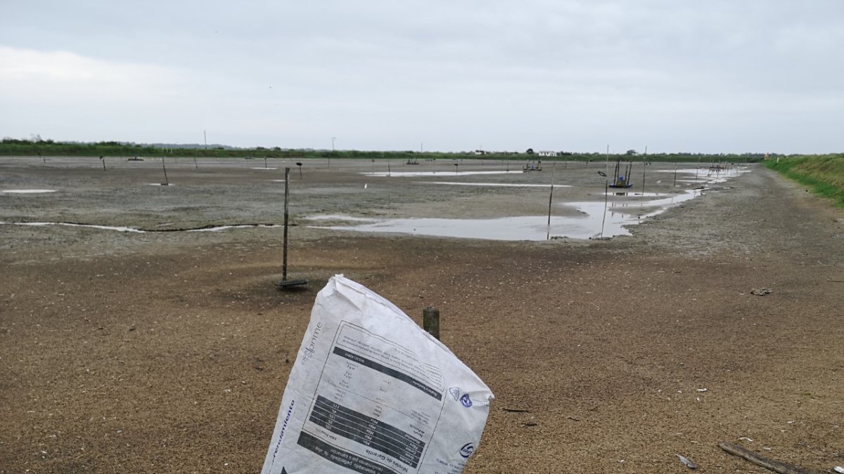 Muchos camaroneros abandonaron sus piscinas.