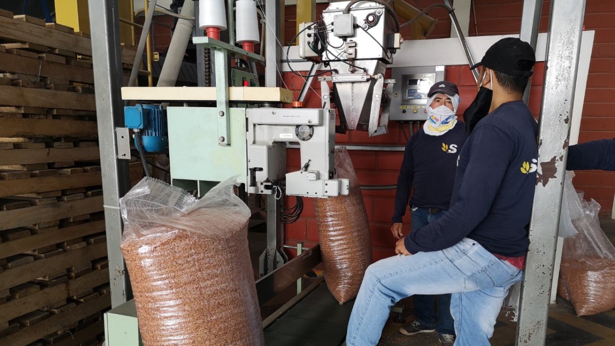 Toda la industria, incluida la de semillas, se movió más este año.