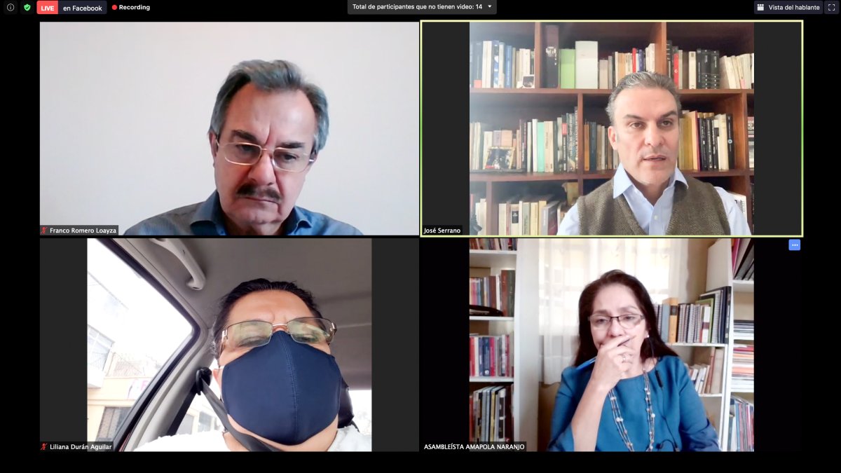 La comisión multipartidista junto a la denunciante en una de sus sesiones virtuales.