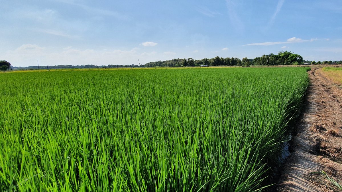 El programa ofrece a los agricultores una amplia gama de alternativas y nueva tecnología en sus campos.